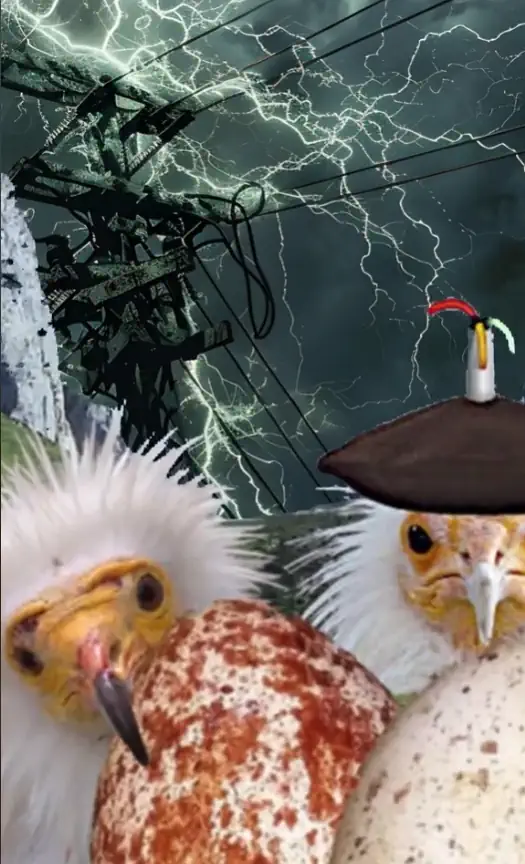 Alimoche y poder eléctrico. Autoconsumo vs centralización