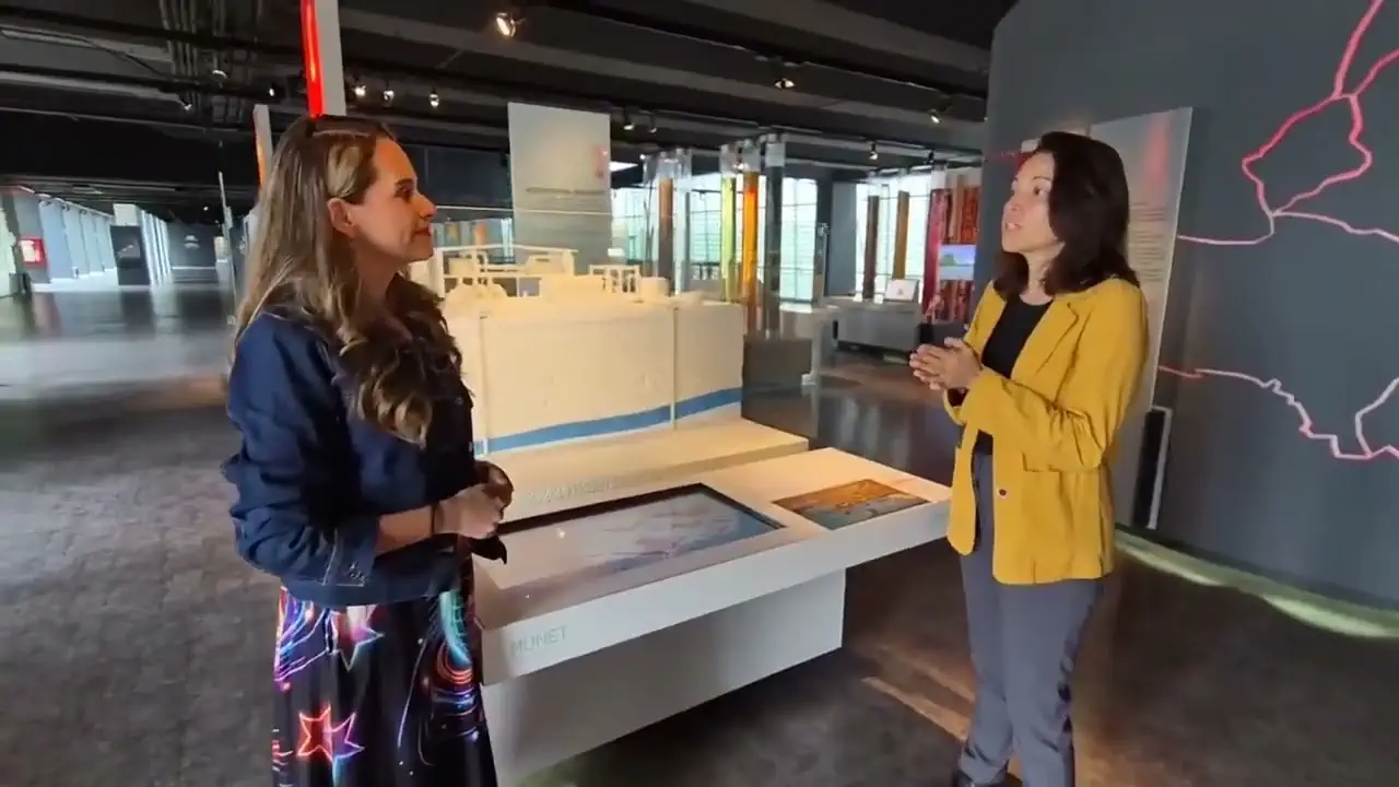 Energías Renovables - Entrevista WWF