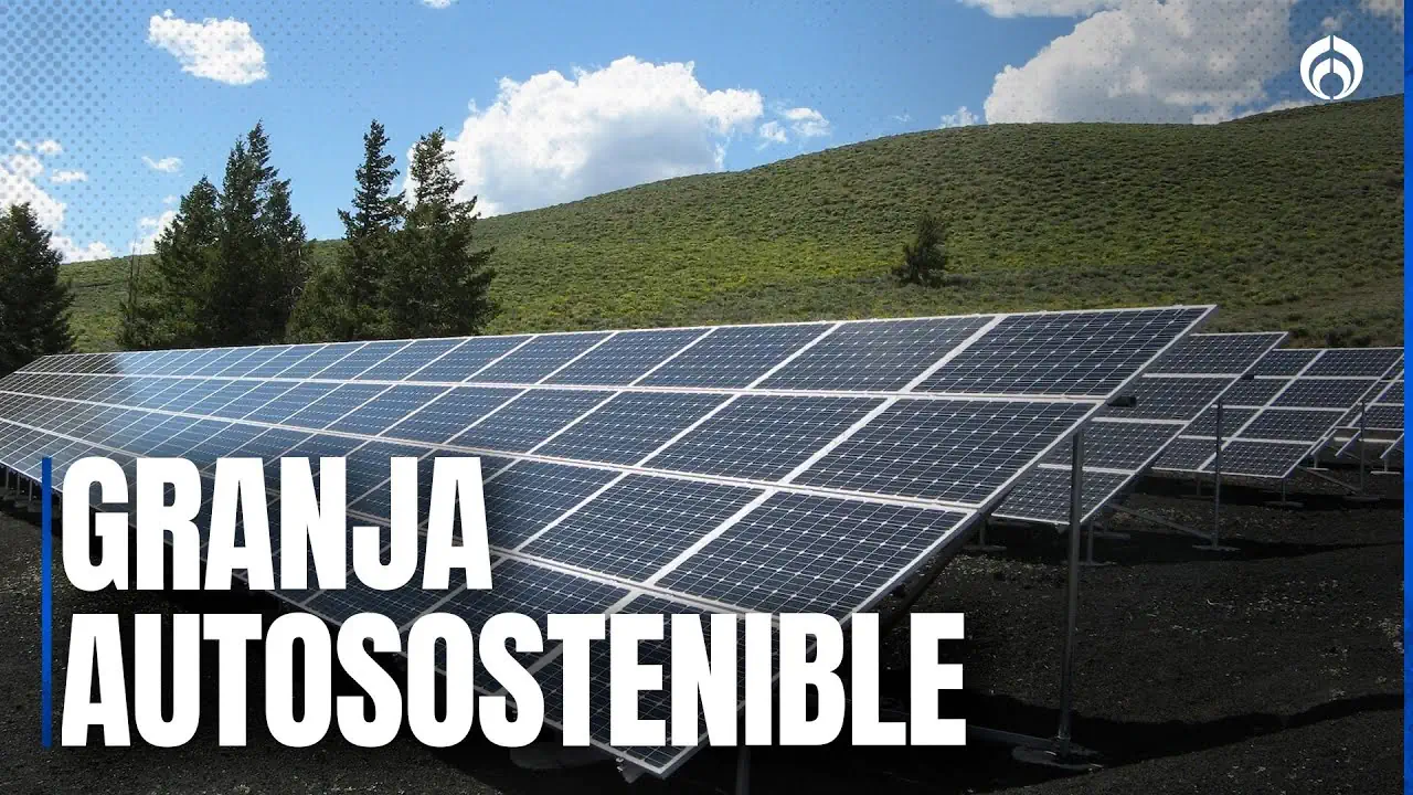 Cabras, biogás y energía solar: el secreto de esta granja autosostenible