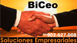 BiCeo, Servicios Profesionales, S.L.