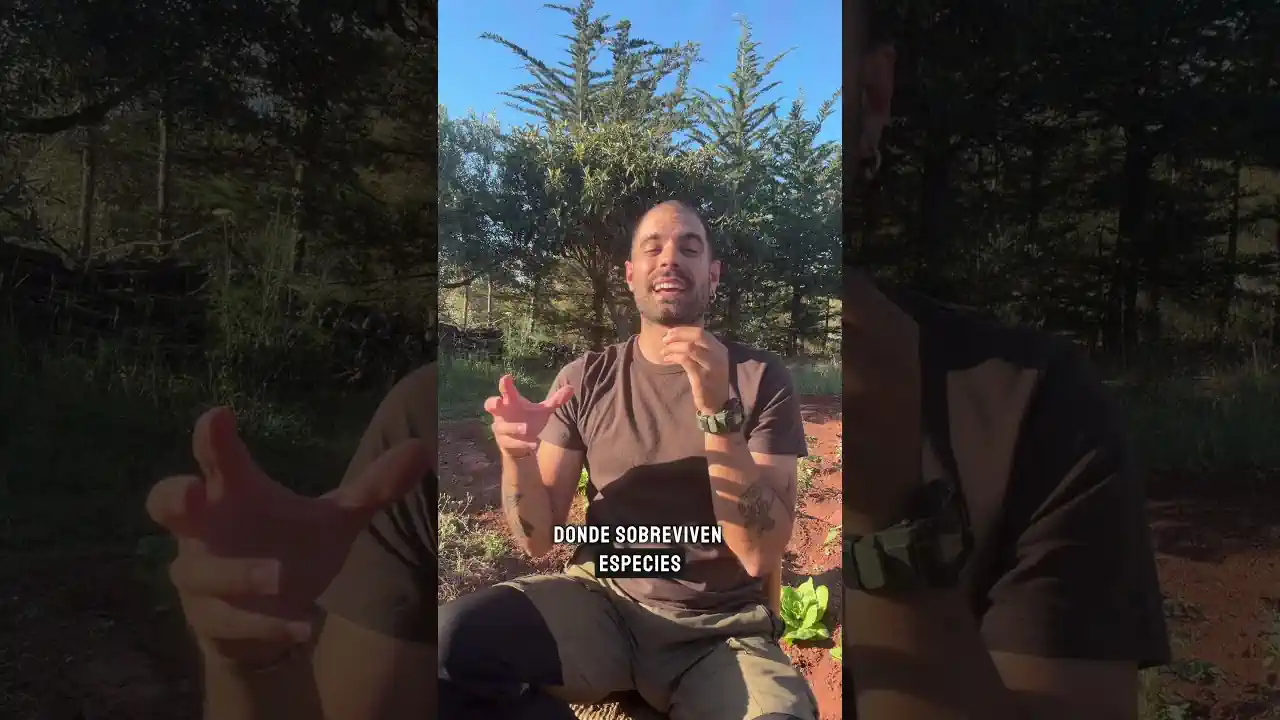 «Los ecolojetas nos llenan de placas solares el campo»