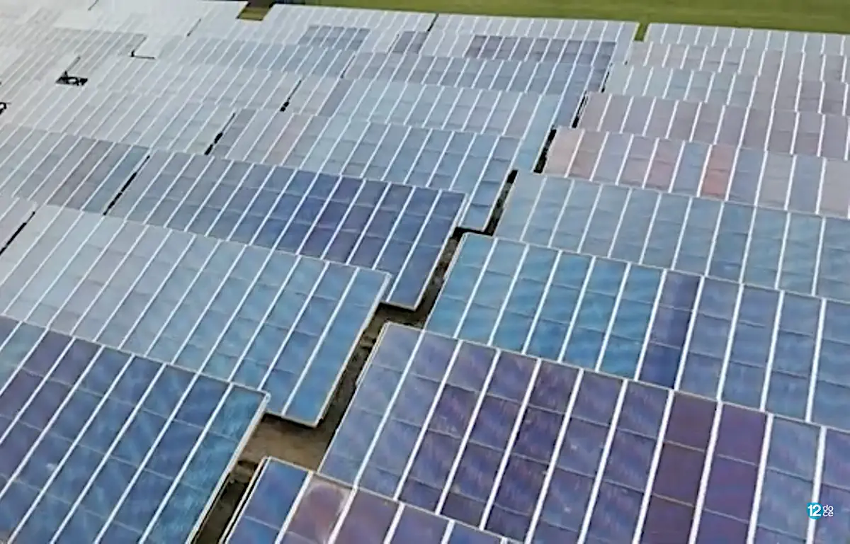 Elche inicia la consulta pública para regular la instalación de plantas fotovoltaicas