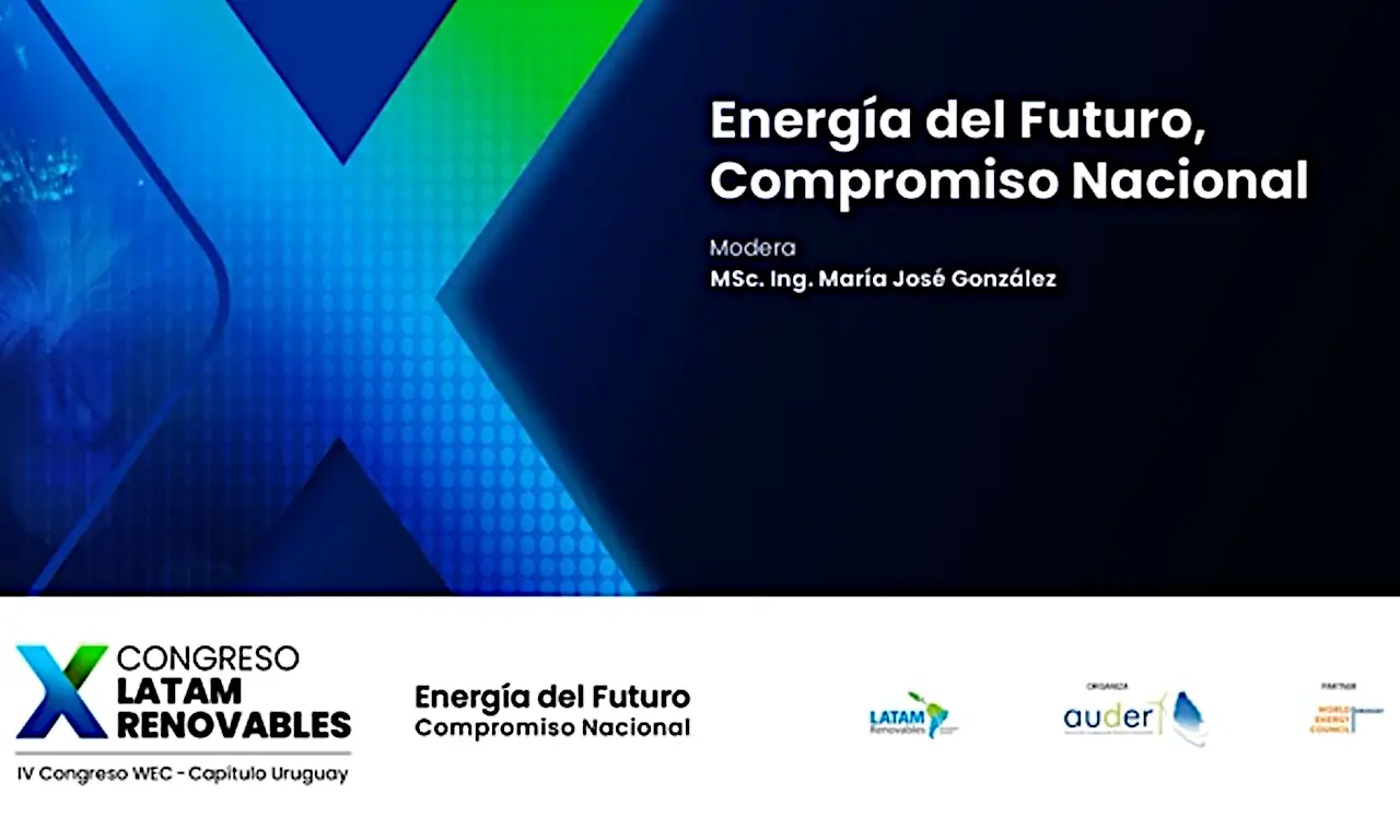 Energía del Futuro, Compromiso Nacional. Panel LatAm Renovables 2024