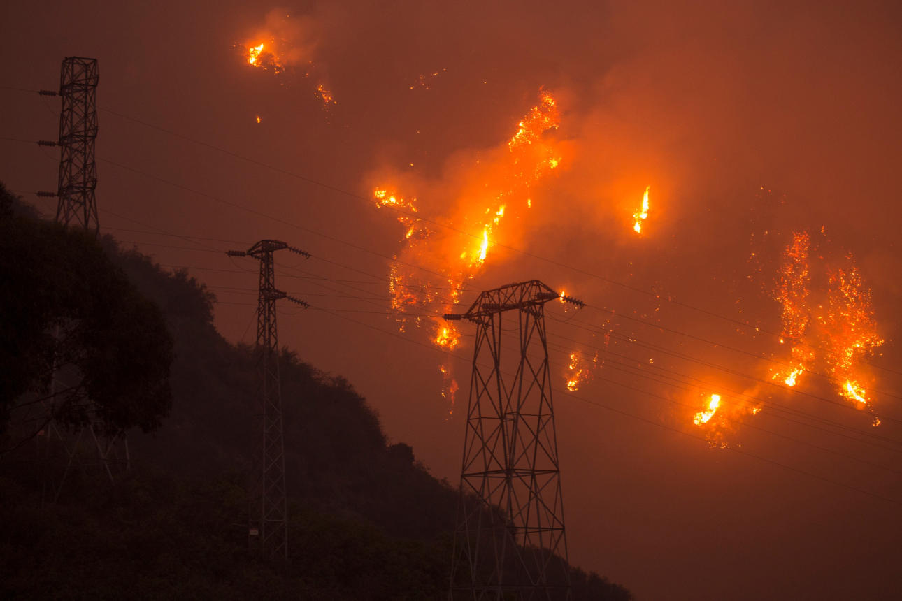 Líneas eléctricas y gasoductos incendian bosques, devastan vida, dilapidan Yottavatios de biomasa y liberan millones de Toneladas de GEI a la atmósfera 