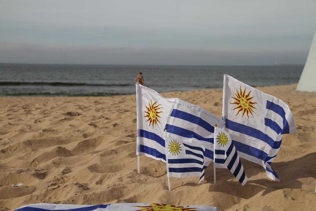 La segunda transición energética en Uruguay «se va a redoblar y fortalecer», afirmó el ministro Paganini