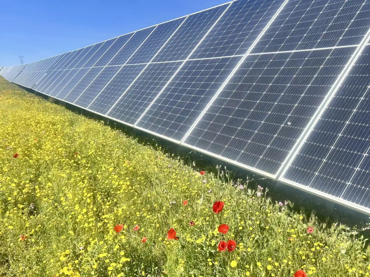 Parque solar