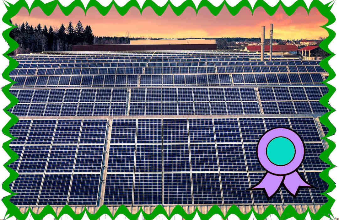 UNEF pone en marcha el Certificado de Excelencia en Sostenibilidad y la conservación de la Biodiversidad para plantas fotovoltaicas 