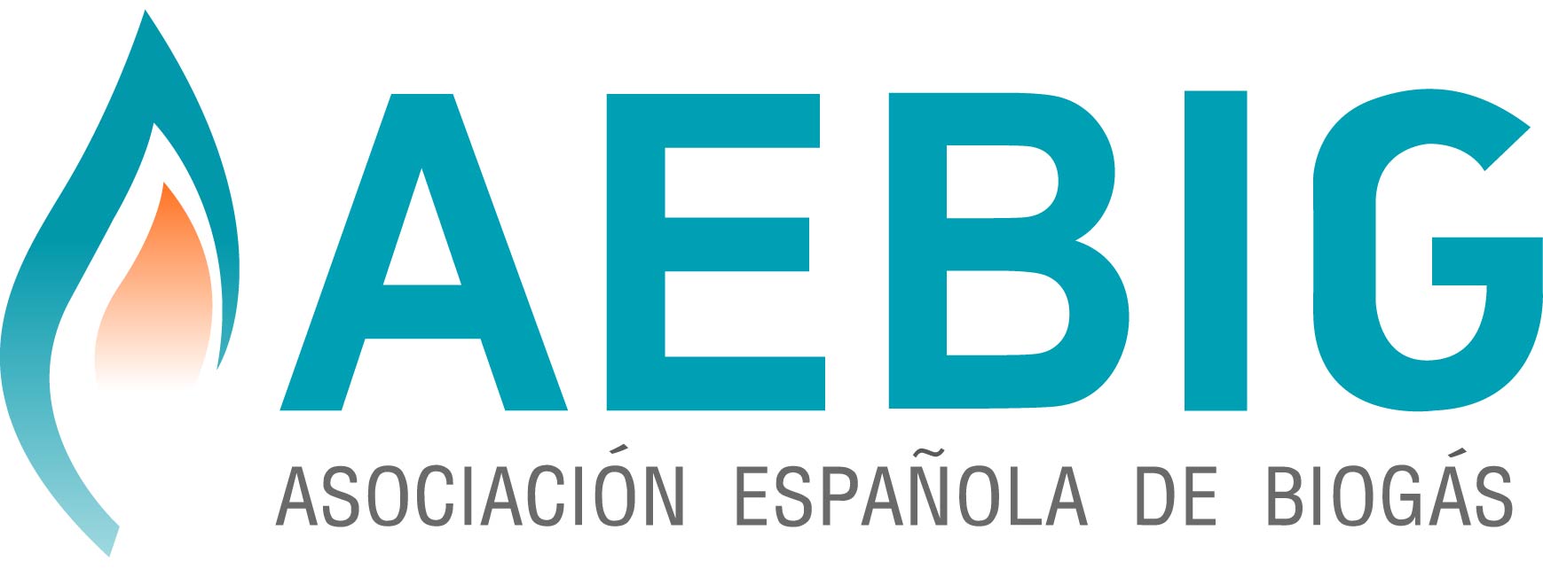 AEBIG Asocación Española de Biogás