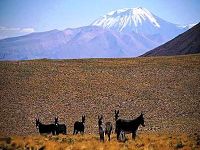 Chile es el país que recibe mayor radiación solar del mundo.