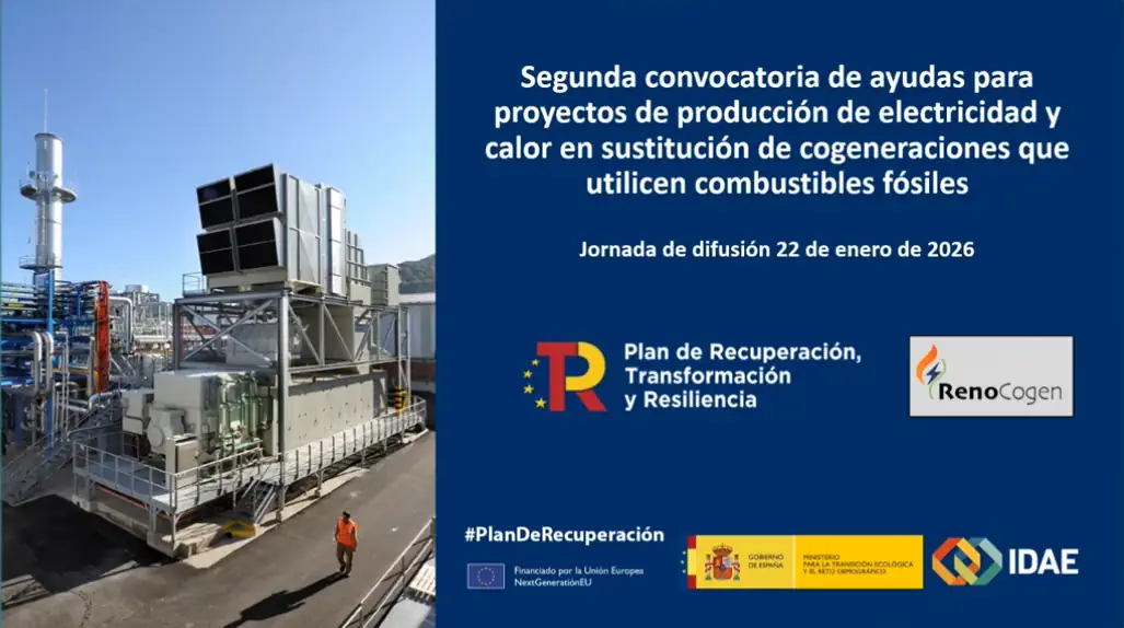 Programa de ayudas RENOCOGEN 2: Webinar informativo