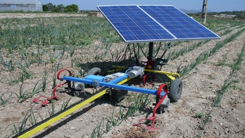 El autoconsumo fotovoltaico en el sector agrícola. 