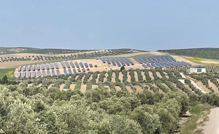 Regantes de Jaén estiman que las pérdidas por no poder vender sus excedentes de energía solar superan los 2 millones de euros