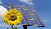 La energía solar se hace visible en la Web de Red Eléctrica Española.