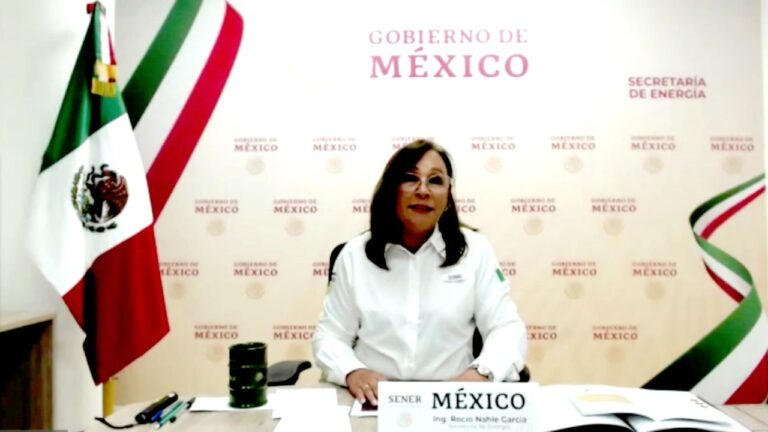 Secretaria de Energía de México, Rocío Nahle García