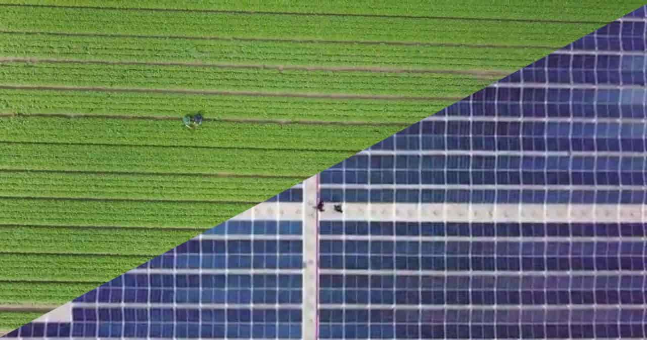 IBC SOLAR instala un sistema fotovoltaico para la empresa de jardinería Herrmann Kräuter