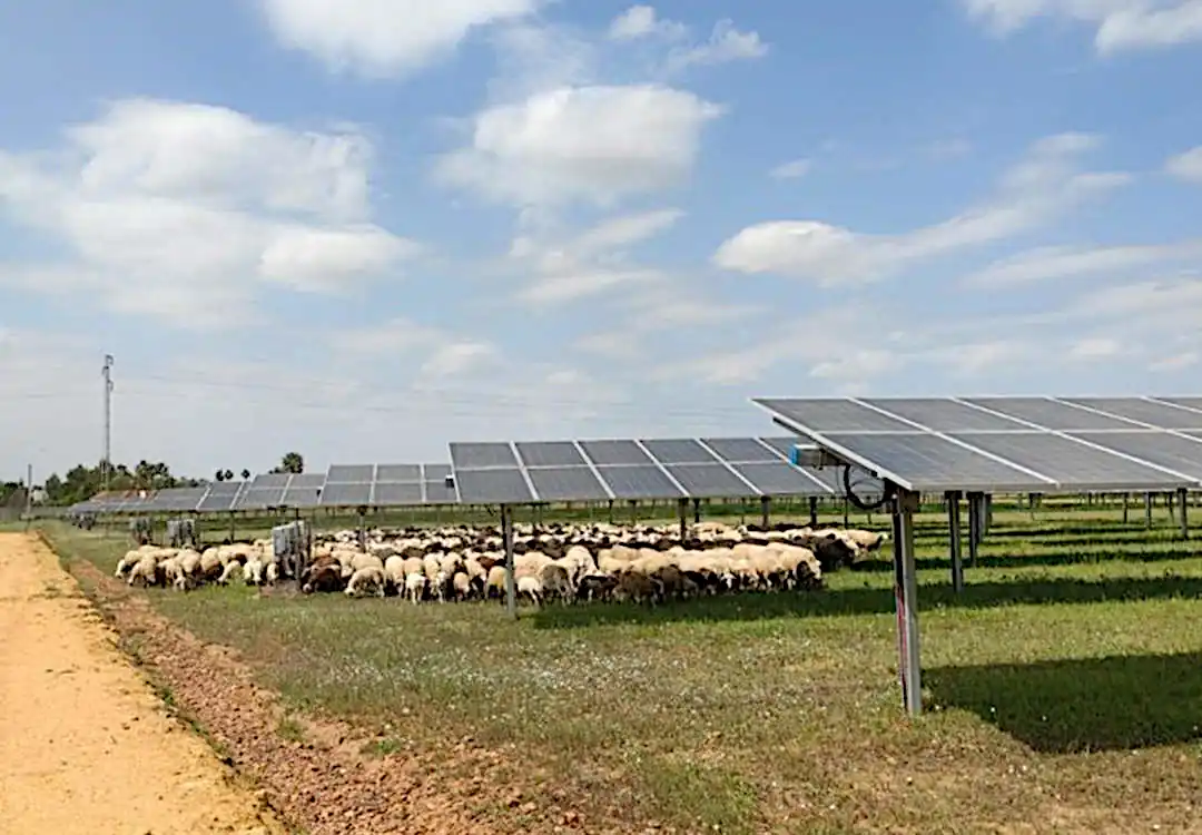 La estrategia agrícola de la UE reconoce por primera vez el papel de la energía solar