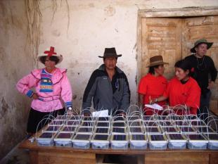La Normativa  que desarrolla la energía solar fotovoltaica y térmica de Perú.