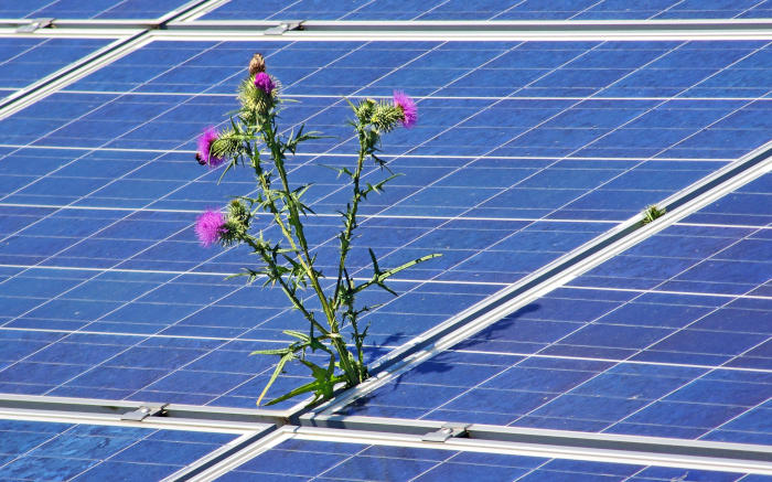 El Real Decreto-ley de medidas urgentes en el ámbito energético impulsará la creación de empleo fomentando el desarrollo del sector fotovoltaico.